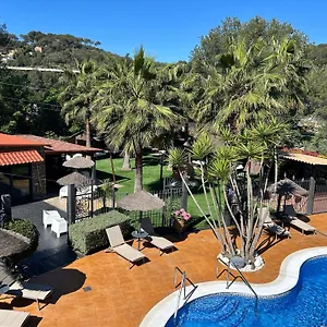 caribbean-home.catalonia-hotels.com/
